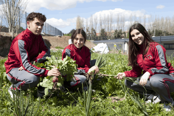 Imagen de unos alumnos recolectando las verduras del Huerto